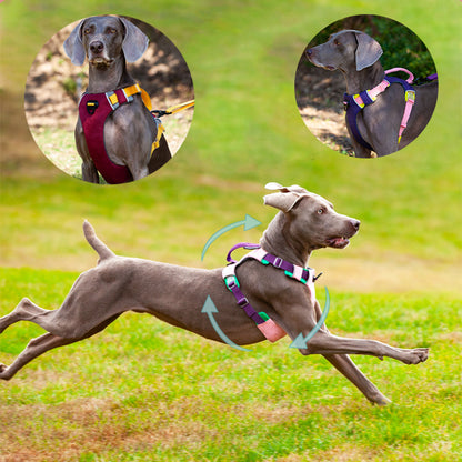 Premium Nylon Adjustable Breathable No Pull Dog Harness